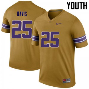 #25 Drake Davis LSU Youth Legend Official Jersey Gold