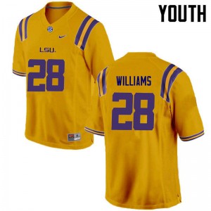 #28 Darrel Williams LSU Tigers Youth Stitched Jerseys Gold