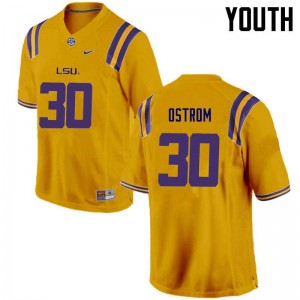 #30 Michael Ostrom Tigers Youth Official Jerseys Gold