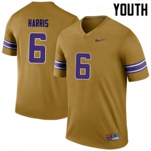 #6 Brandon Harris Tigers Youth Legend Player Jerseys Gold